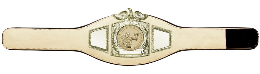 PROEAGLE FEMALE BOXING CHAMPIONSHIP BELT - PROEAGLE/G/FEMBOXG - AVAILABLE IN 6+ COLOURS PROEAGLE FEMALE BOXING CHAMPIONSHIP BELT - PROEAGLE/G/FEMBOXG - AVAILABLE IN 6+ COLOURS